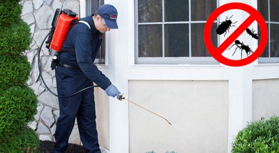 Sarıyahşi Böcek ve Haşere İlaçlama böcek ilaçlama ve haşere kontrolü — ilaclama-tr.com